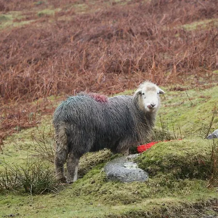 Duddon View Дом отдыха *